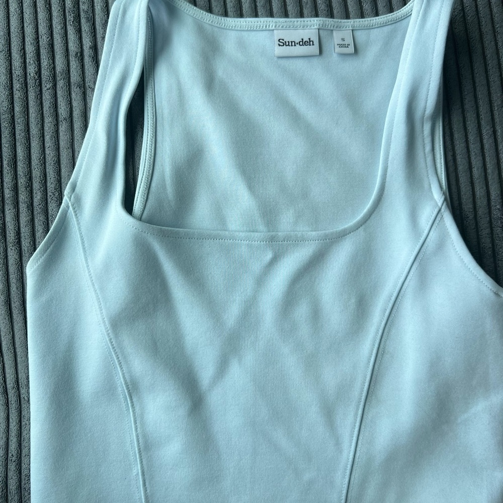 Aritzia Sundeh Light Blue Tank Top